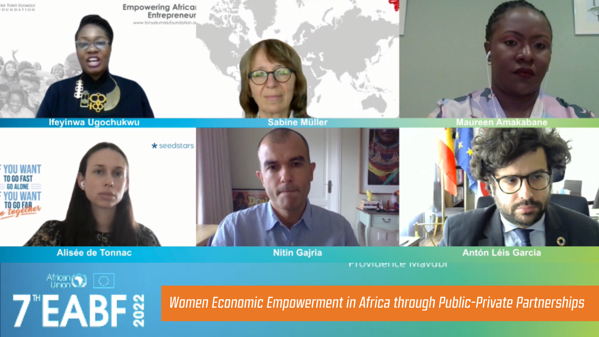 Women Economic Empowerment in Africa through Public-Private ...